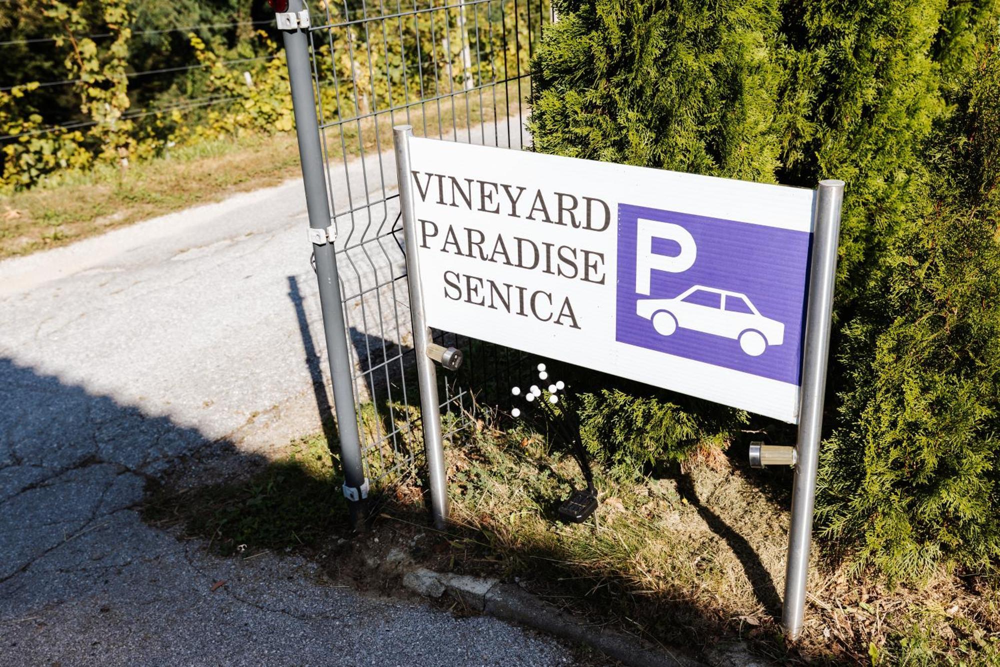 Vineyard Paradise Senica Dramlje Extérieur photo