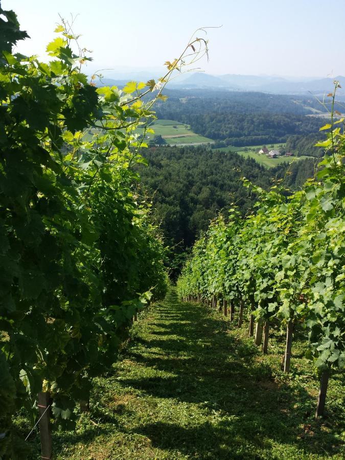 Vineyard Paradise Senica Dramlje Extérieur photo